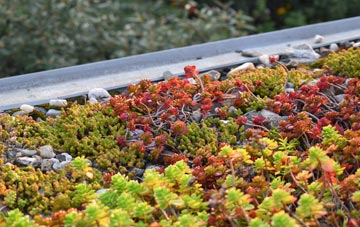 the cost of Long Common green roof installation
