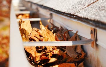 Long Common gutter cleaning companies