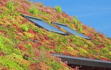 Long Common living roof systems