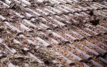 Long Common roof cleaning companies