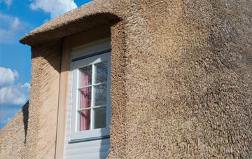Long Common thatch roof disadvantages